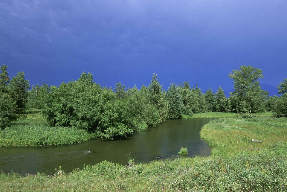 Brook brush clouds