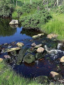 Brook red red water