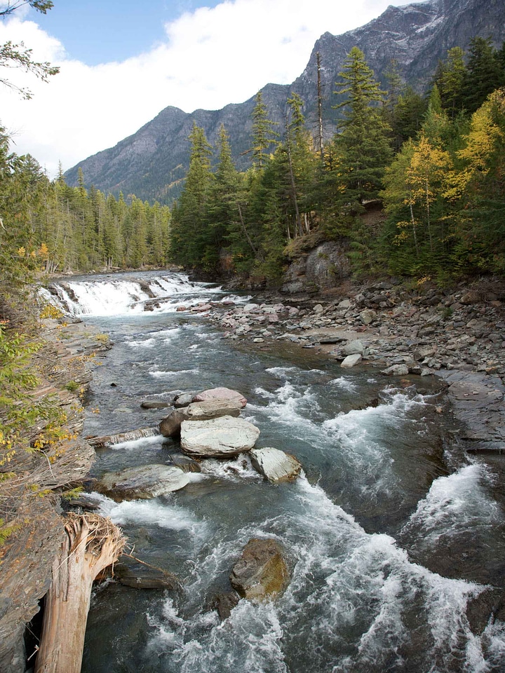 Brook flathead river