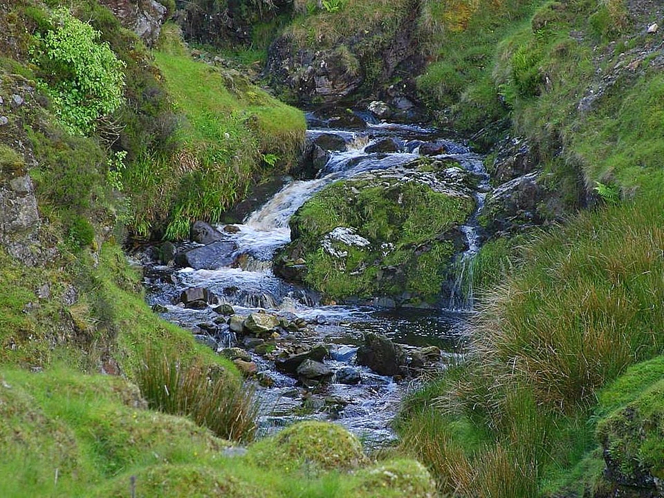 Brook passing water