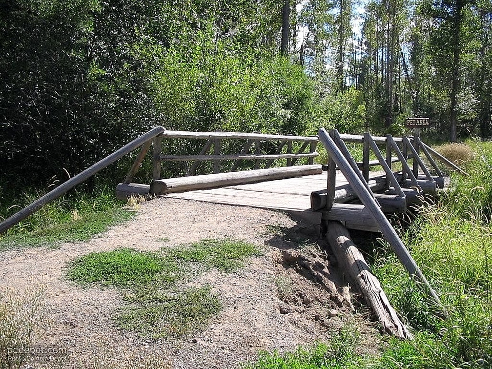 Bridge forest lumber