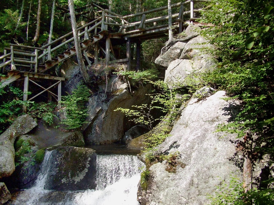 Bridge forest rocks