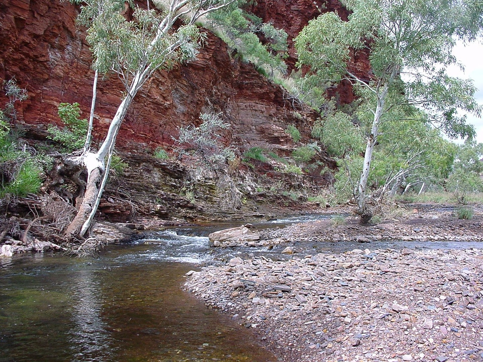 Arroyo Canon rock