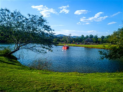 Lago no Parque do Centenário da Imigração Japonesa, 2022 04 23 photo