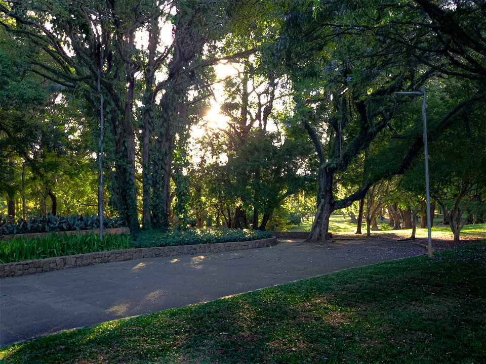 20221118 172926 Parque Ibirapuera