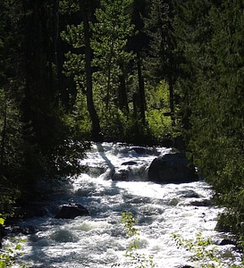 Arroyo nature 