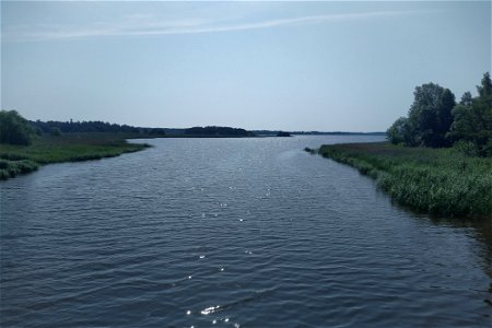 A View From The Bridge