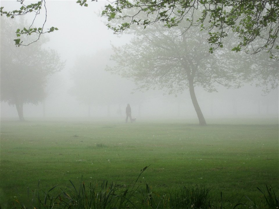 Project 365 #141: 210510 ¡Hay Niebla!