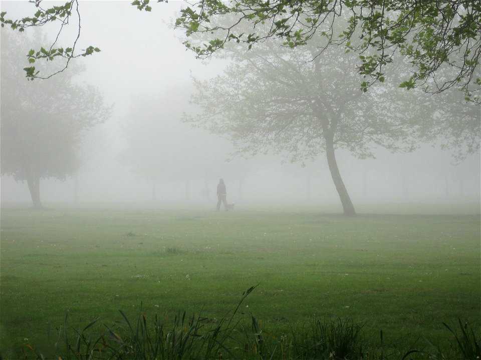 Project 365 #141: 210510 ¡Hay Niebla! photo