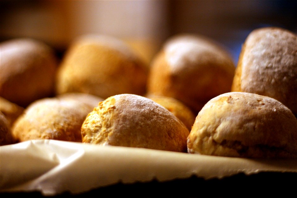 Project 365 #216: 040813 On A Roll