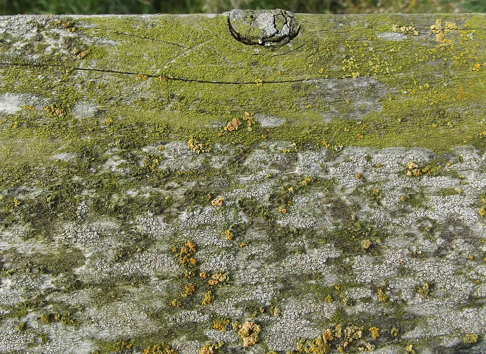 Board old weathered