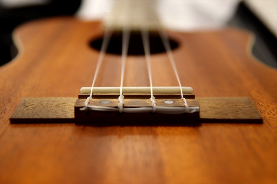 Project 365 #174: 230622 Four Strings