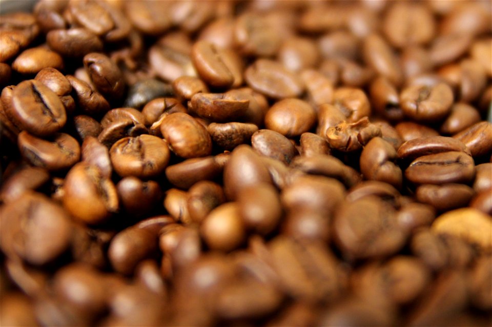 Project 366 #262: 180912 Full Of Beans!