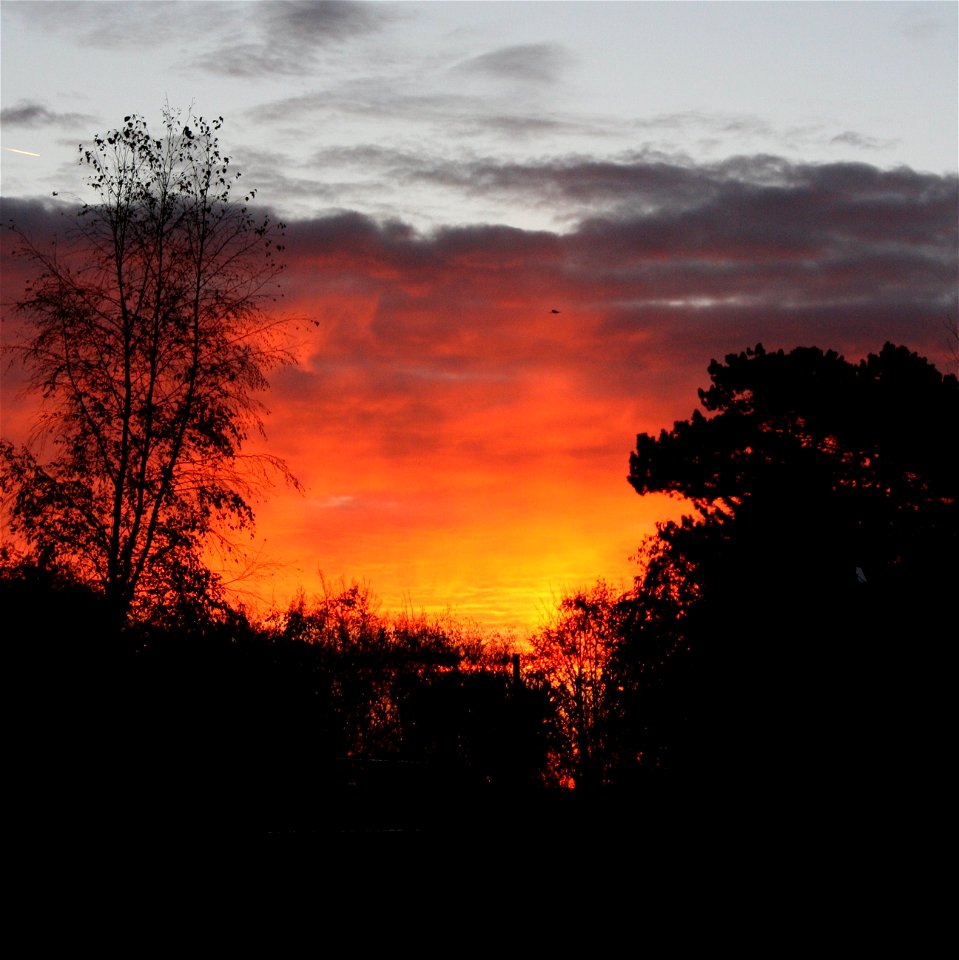 Project 365 #320: 161110 House Of The Rising Sun