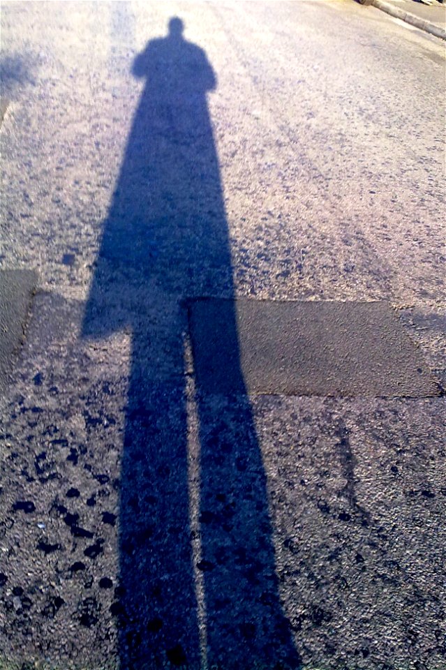 Project 365 #94: 040413 Long Tall Shadows photo