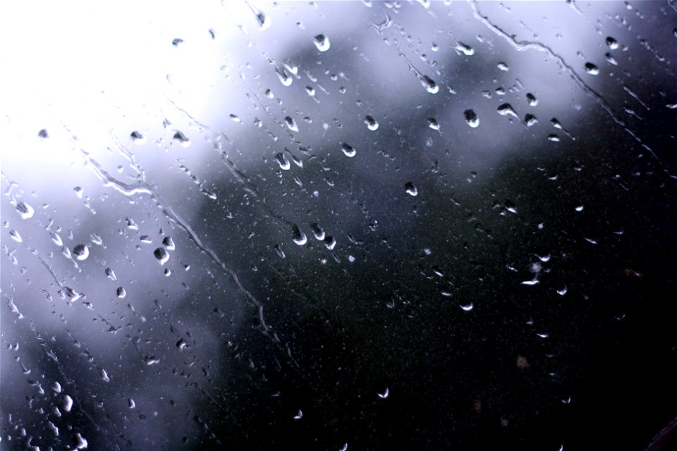 Project 365 #129: 090511 Beautiful Rain