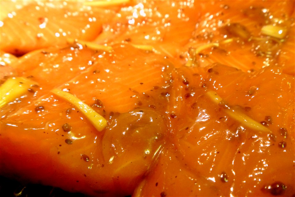 Project 366 #319: 141112 Something Fishy This Way Comes