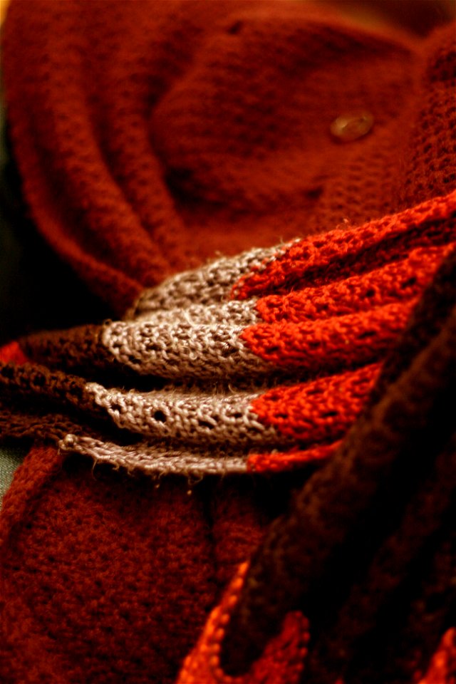 Project 365 #335: 011210 Winter Wear