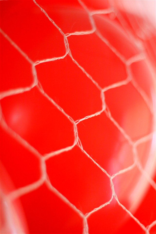 Project 365 #267: 240910 99 Red Balloons?
