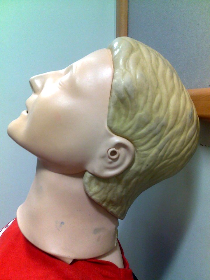 Project 365 #11: 110111 Resuscitation for Dummies