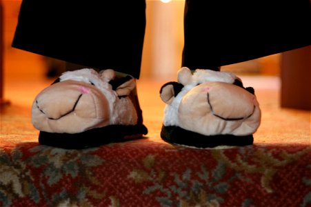 Project 365 #37: 060211 Beefy Slippers! photo