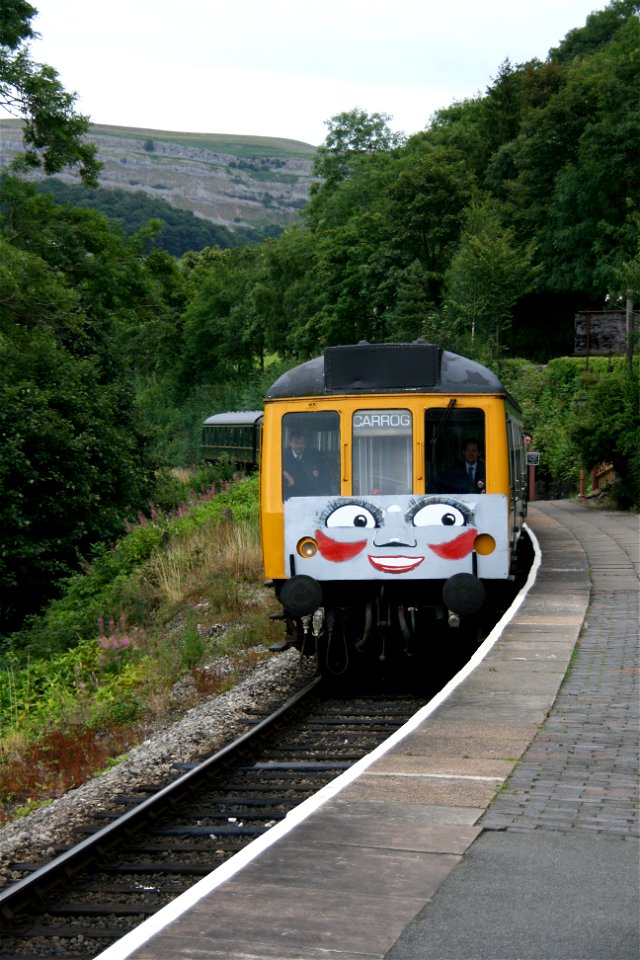 Llangollen 2009: What A Face! photo