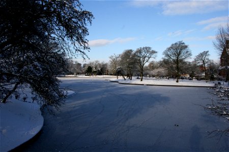 Snowy Newsham Park 12 photo