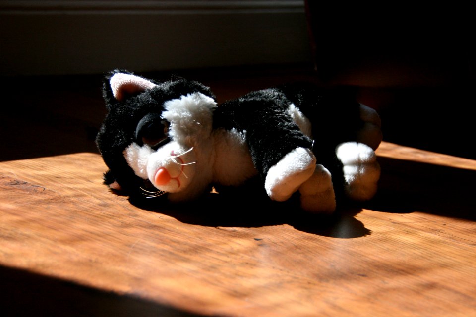 Project 366 #176: 240612 Catching Some Rays