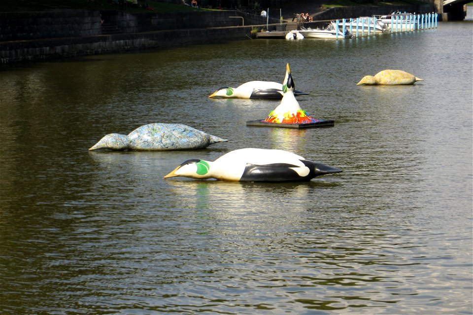 Drifting Penguins