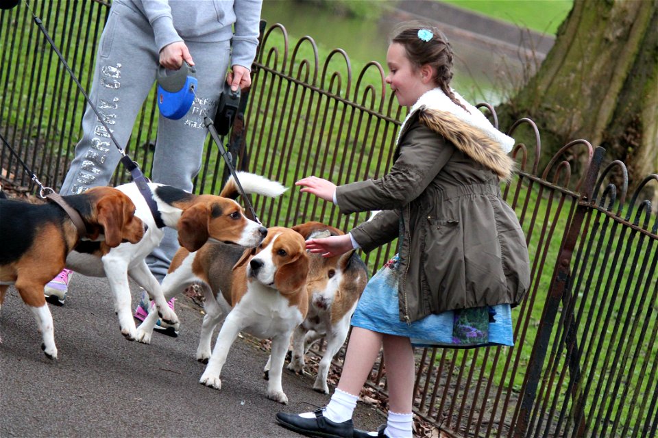 Project 365 #105: 150415 Hound Dog!