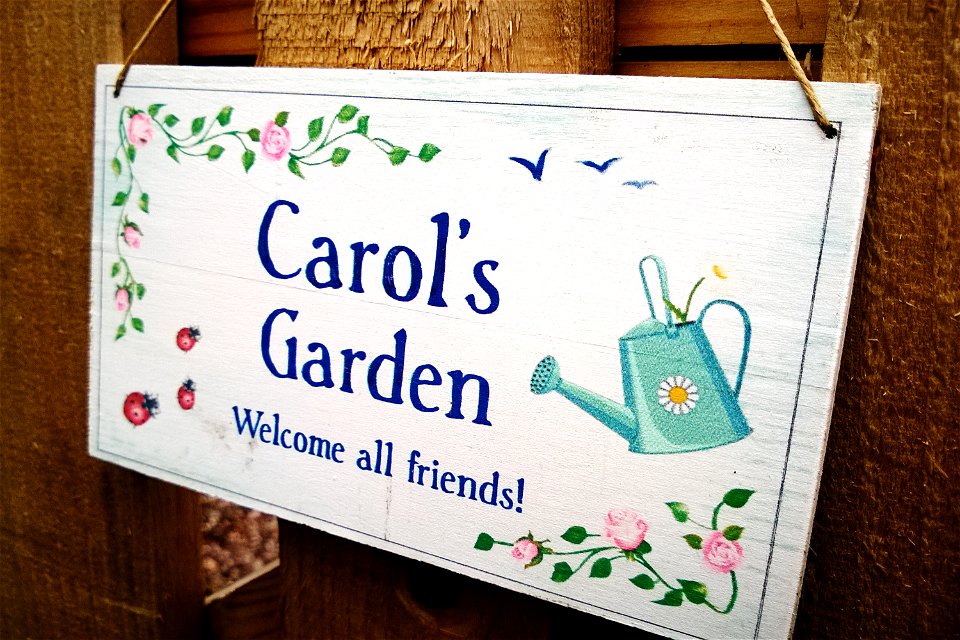 Project 365 #149: 290514 My Secret Garden