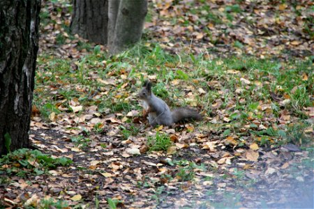 Helsinki 2011 Trip: Show Us Your Nuts!