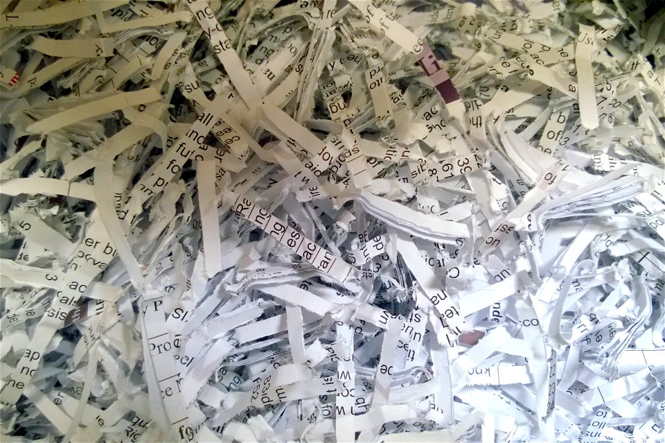 Project 365 #224: 120814 In Shreds