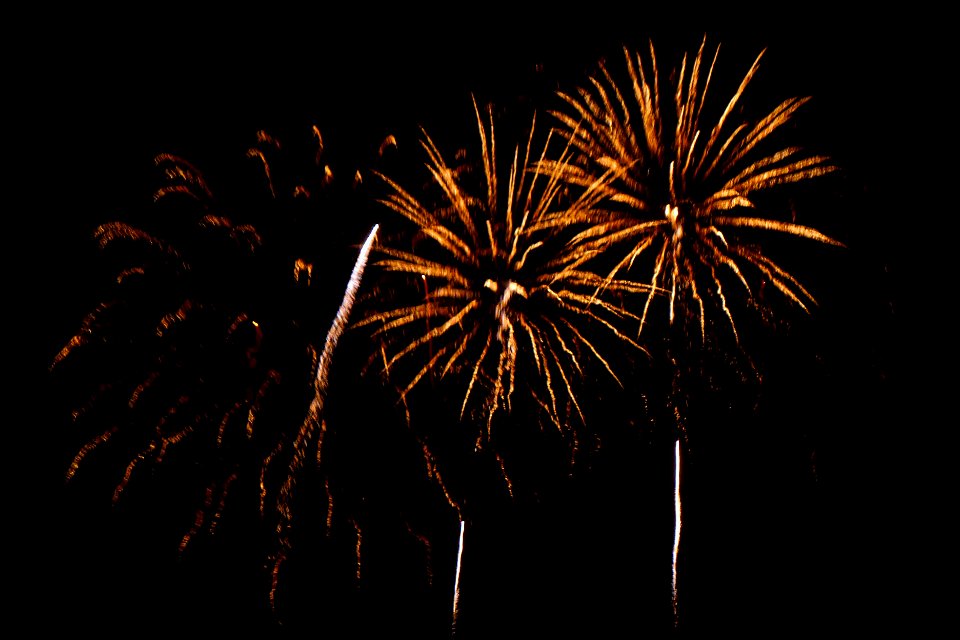 Project 365 #309: 0511013 Bang Bang