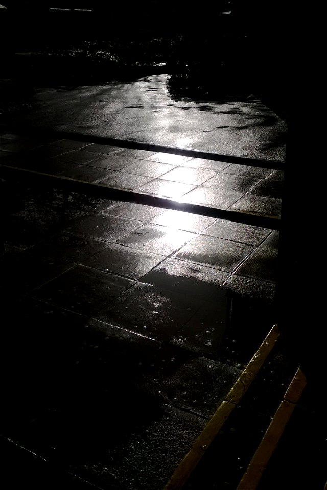 Project 365 #43: 120214 Sunshine After The Rain
