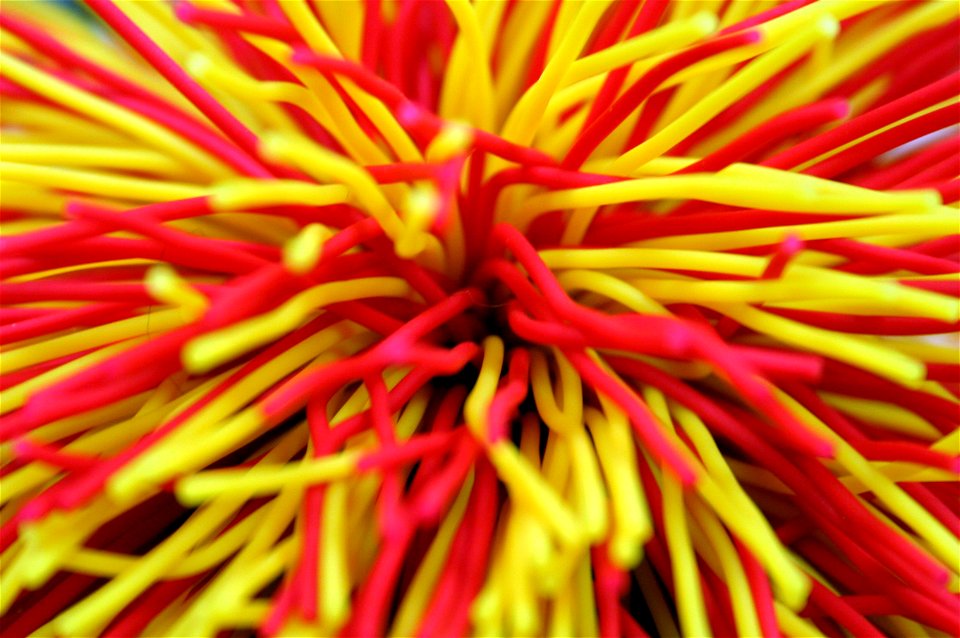 Project 365 #14: 140109 The Mighty Koosh