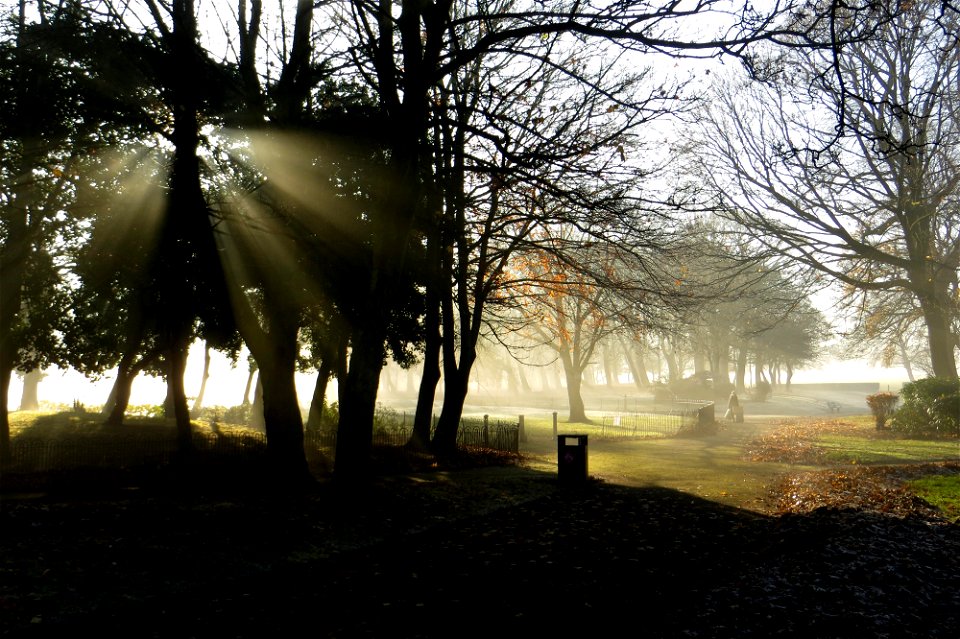 Project 366 #332: 281116 Beautiful Light photo