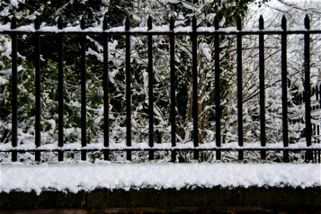 Snowy Newsham Park 2