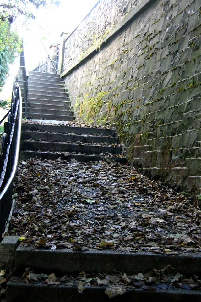 Peebles 2013: Step It Up