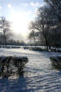 Snowy Newsham Park 15 photo