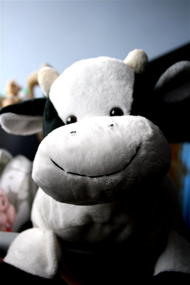 Project 365 #174: 230609 Pull The Udder One