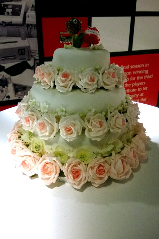 Project 365 #123: 030514 Wedding Cake