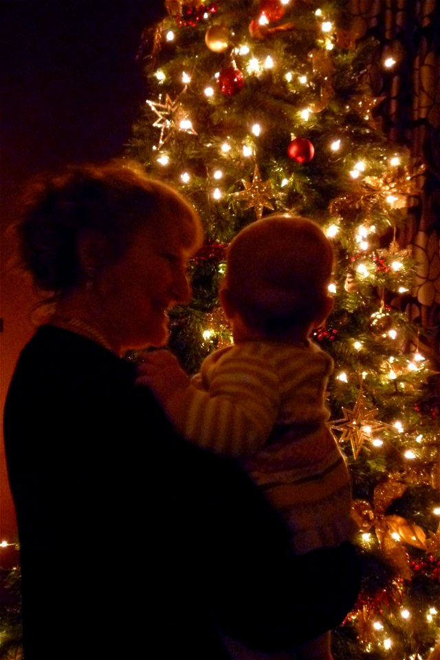 Project 366 #342: 071212 First Christmas photo