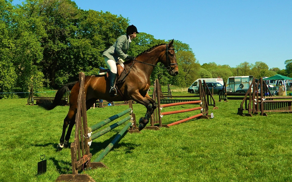 Jumping equestrian sport