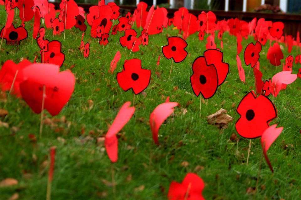Project 365 #315: 111114 Never Forget