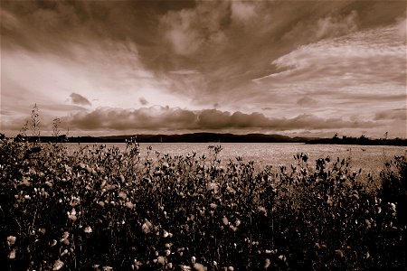 Fields of Falkirk photo