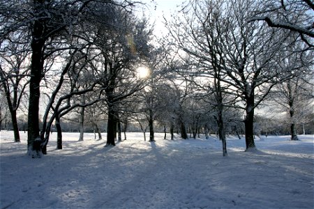 Snowy Newsham Park 17 photo