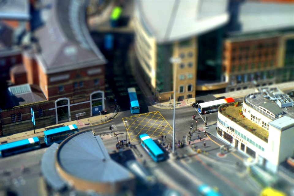 Life In Miniature...