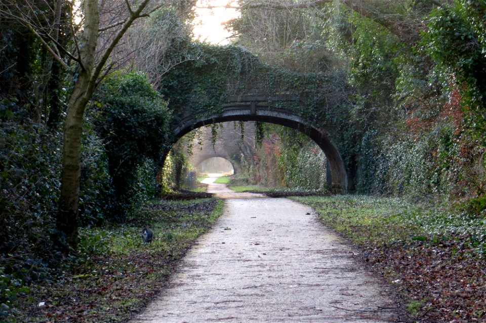Under the bridge