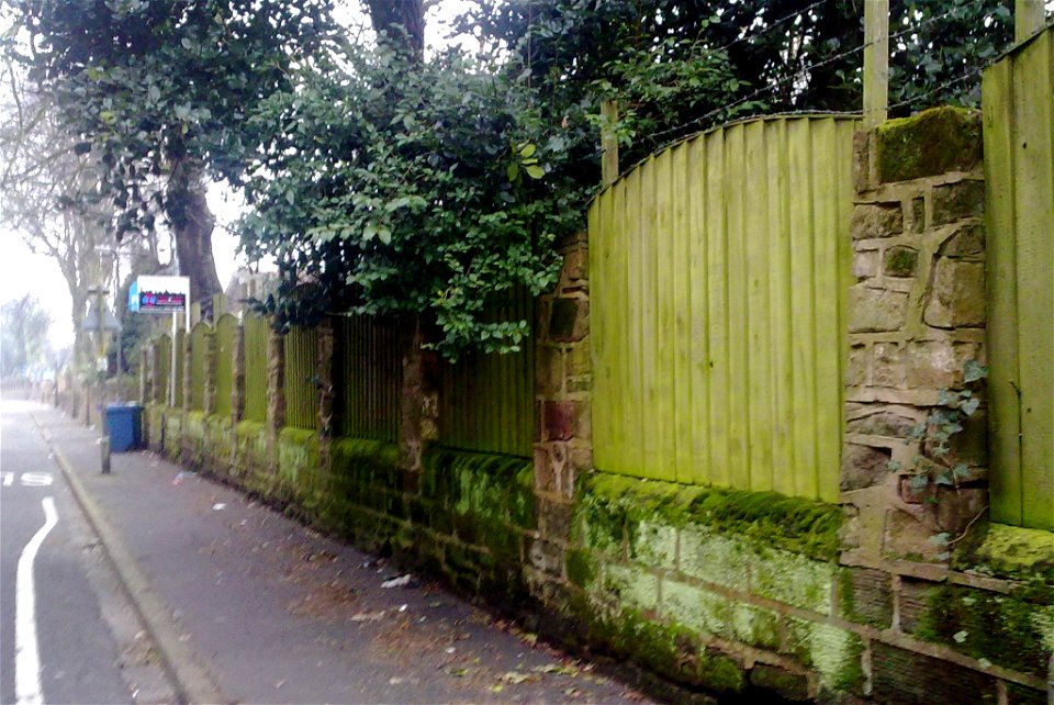 Project 365 #62: 030313 Within These Walls